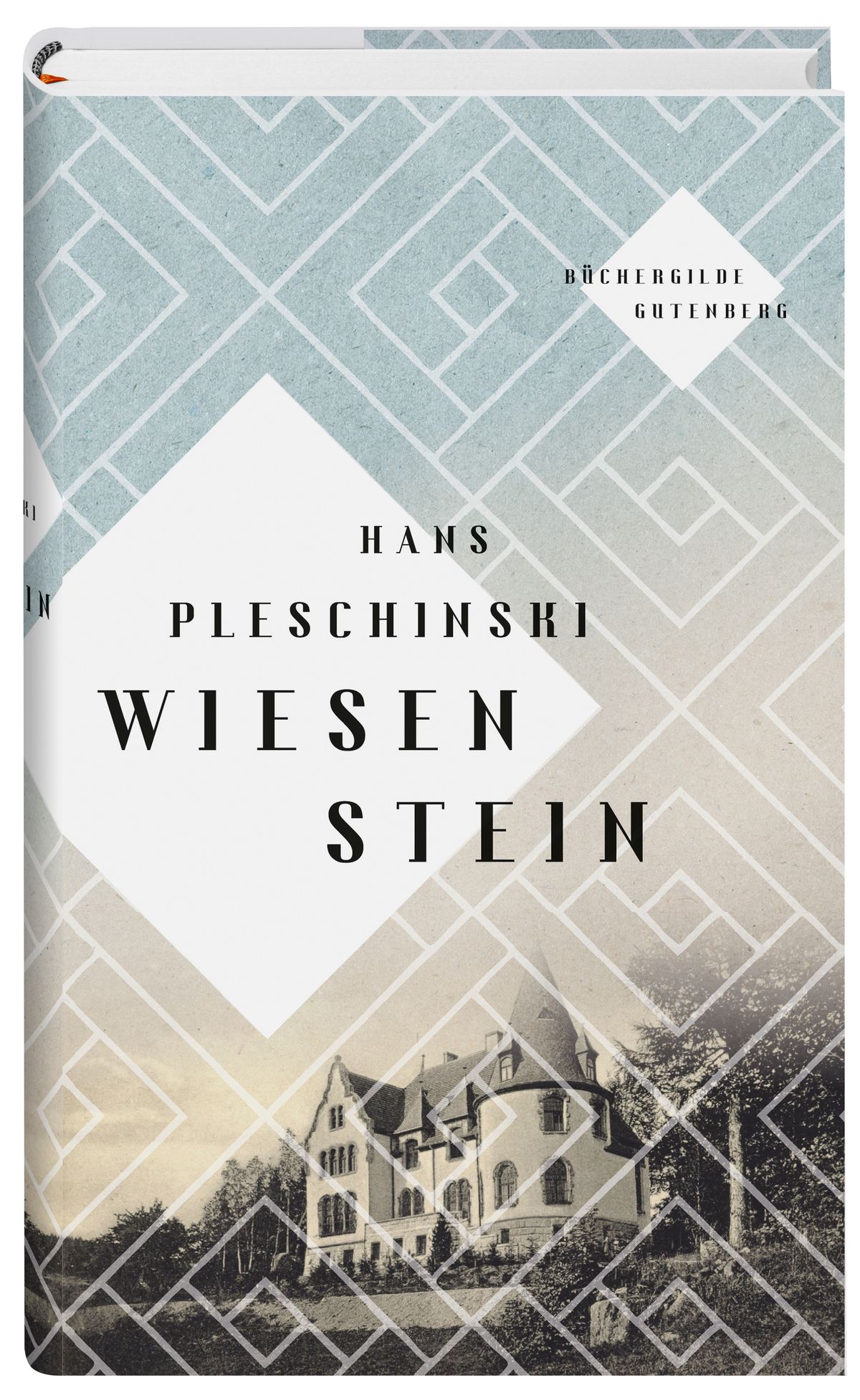 17037X_PleschinskiHans_Wiesenstein_FR_01.jpg