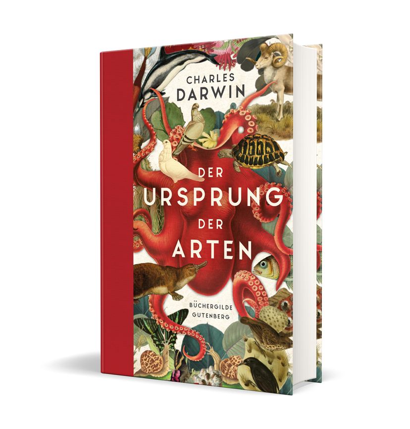 170779_Darwin_Ursprung_3D.jpg