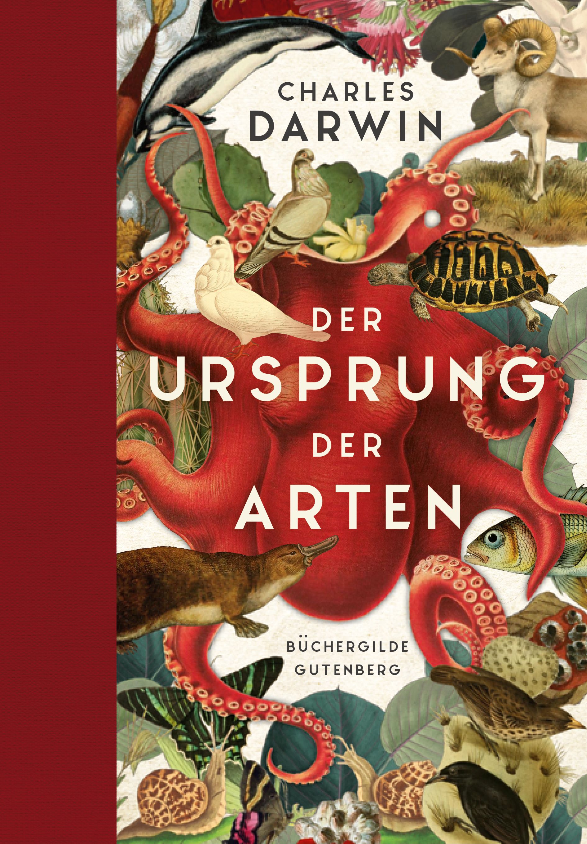 170779_Darwin_Ursprung_FR_01.jpg