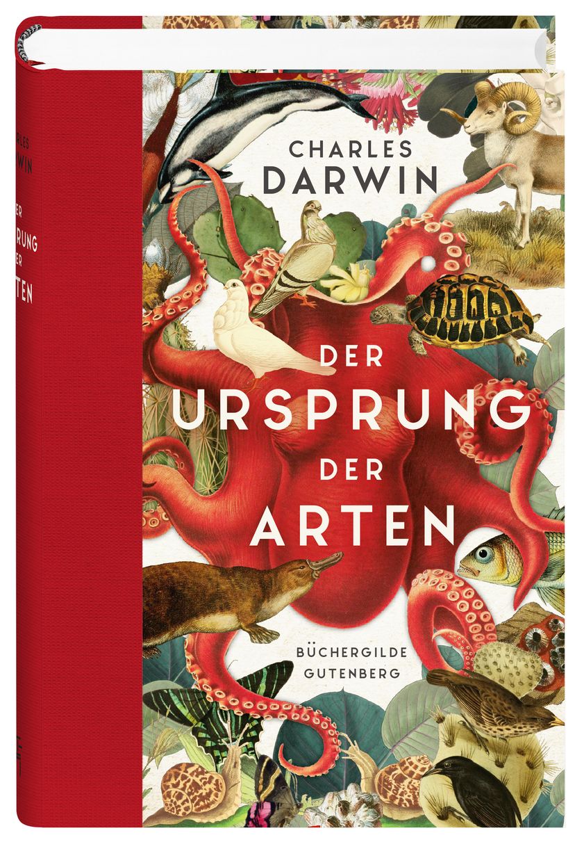 170779_Darwin_Ursprung_FR_02.jpg