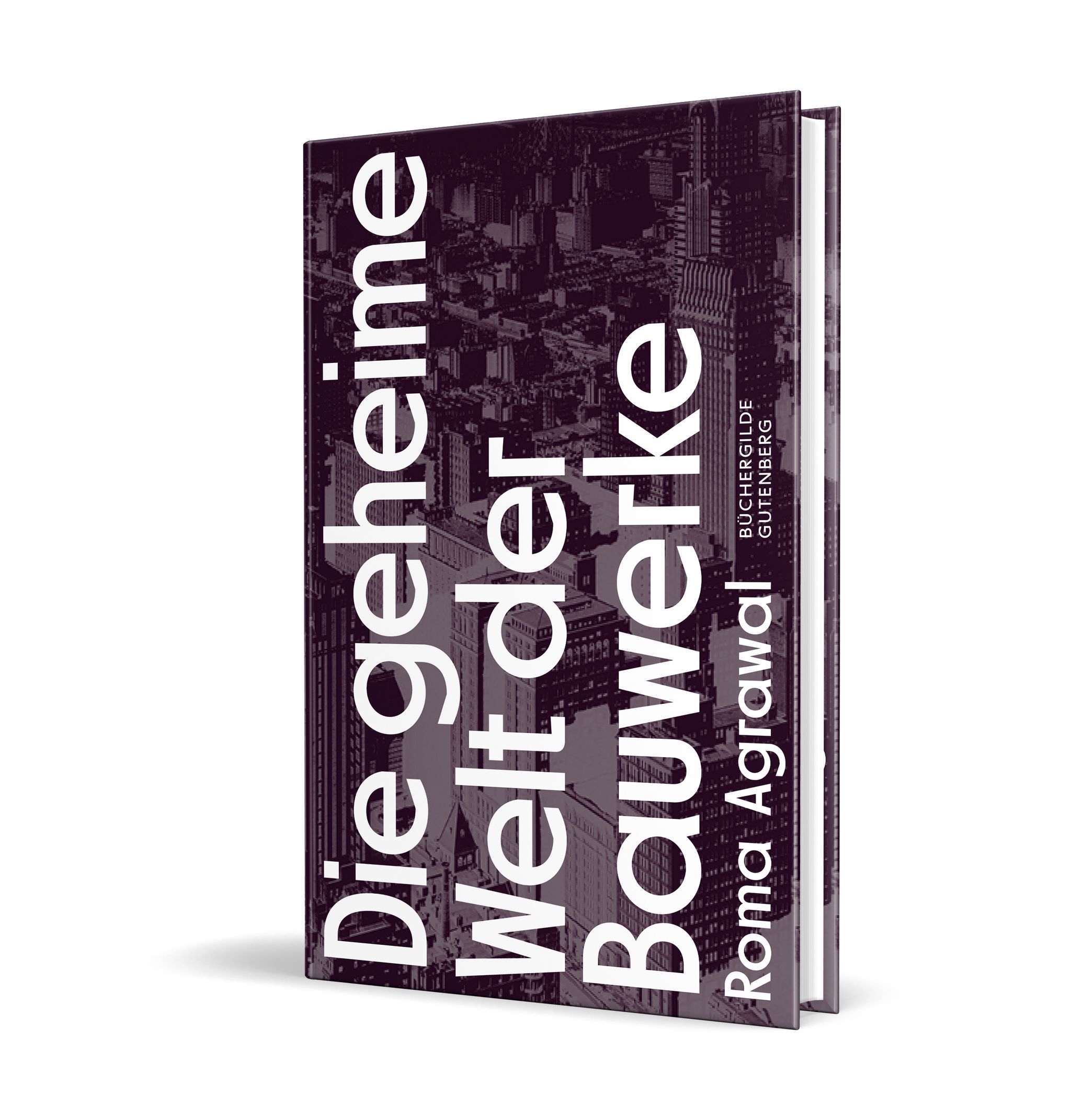 170892_Agrawal_Bauwerke_3D.jpg