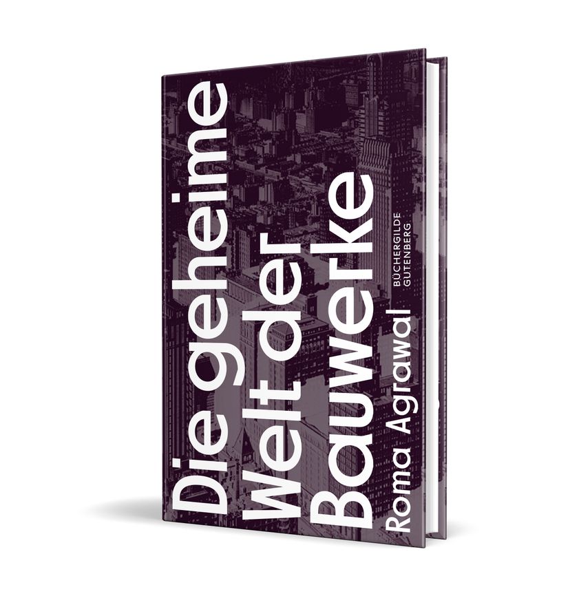 170892_Agrawal_Bauwerke_3D.jpg