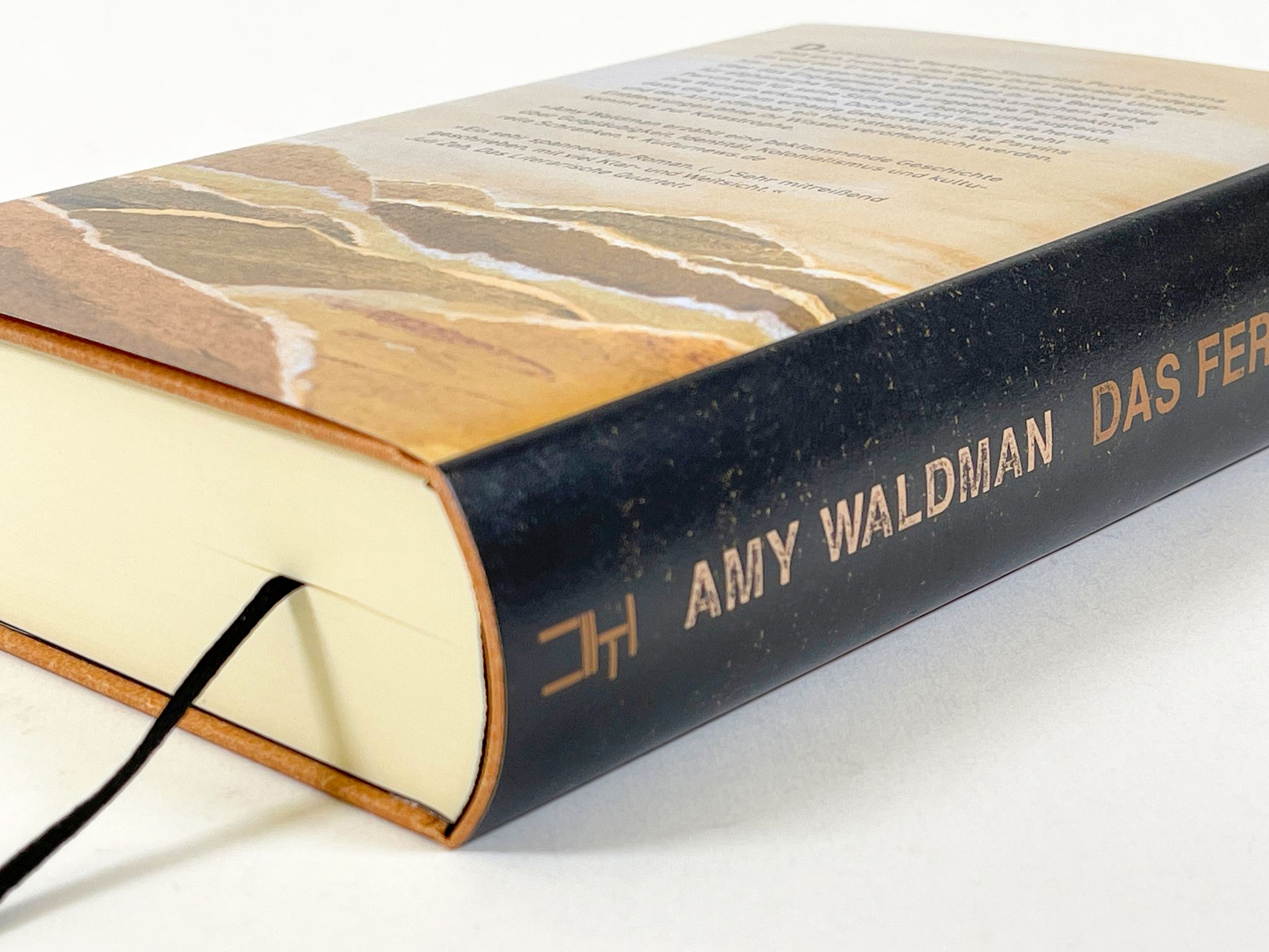 17281X_Waldman_Feuer_BA_02.jpg