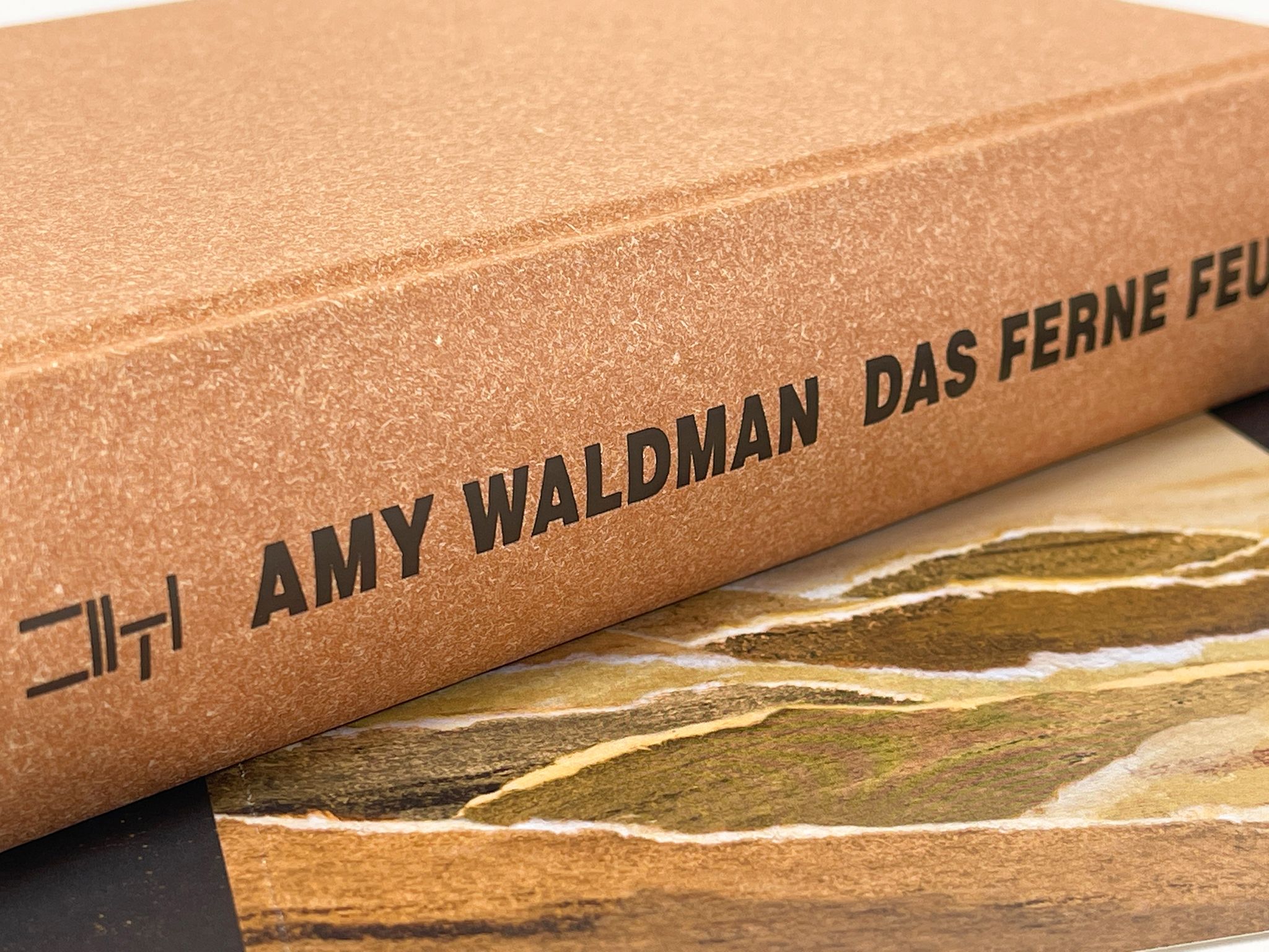 17281X_Waldman_Feuer_BA_03.jpg