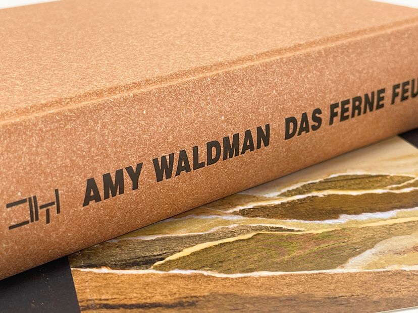 17281X_Waldman_Feuer_BA_03.jpg