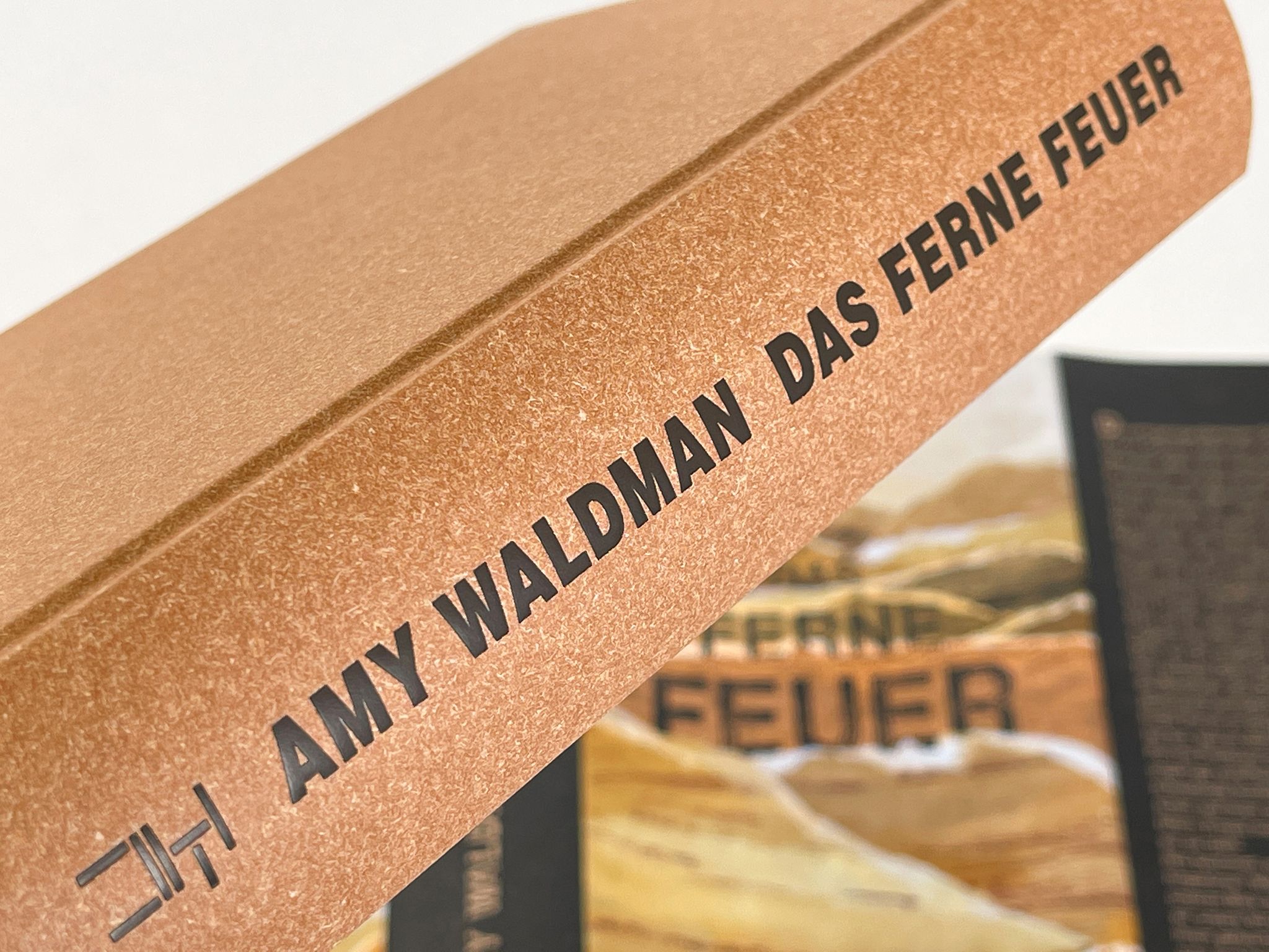 17281X_Waldman_Feuer_BA_04.jpg