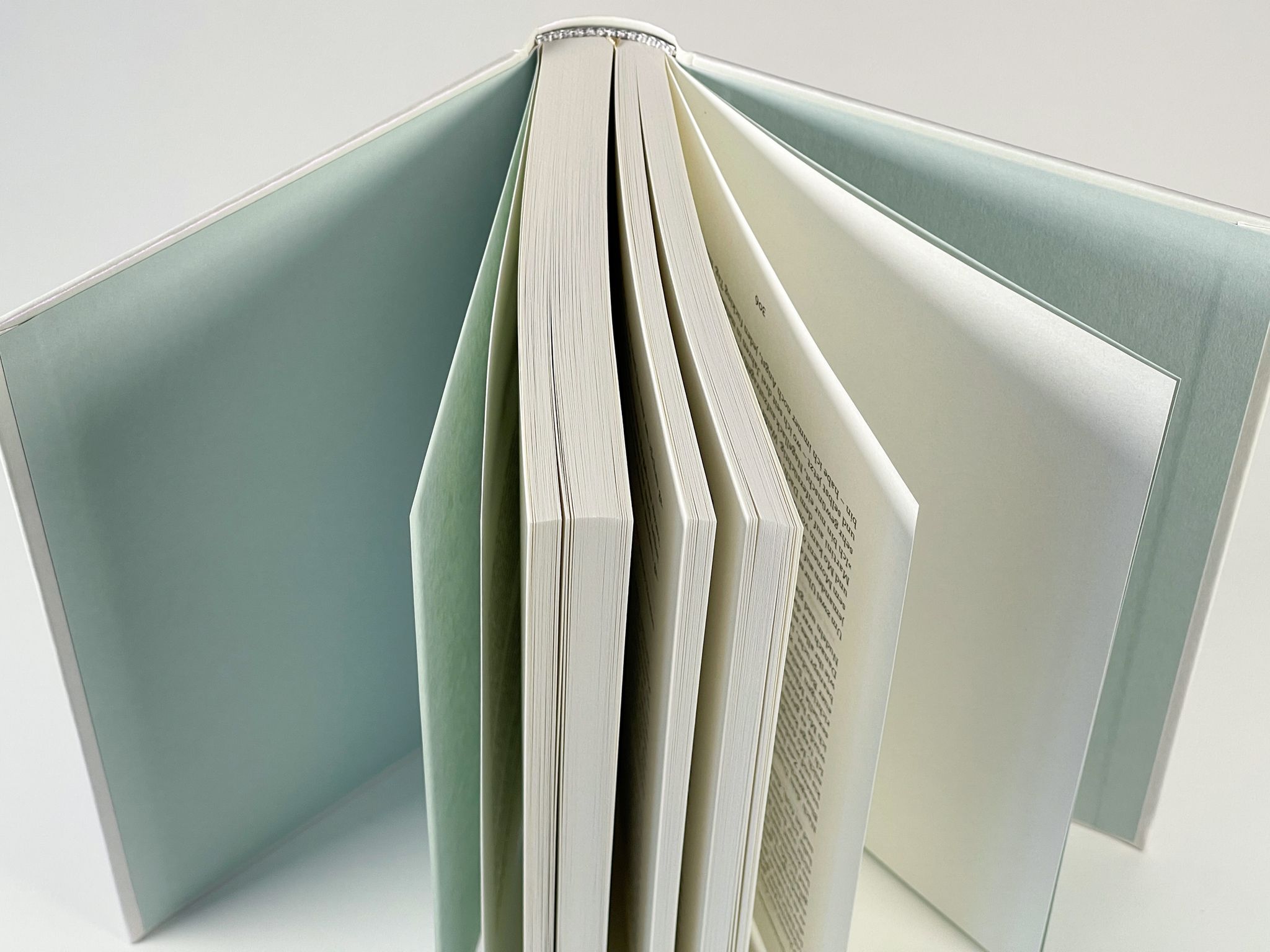 174316_lHorizon_Blutbuch_BA_06.jpg