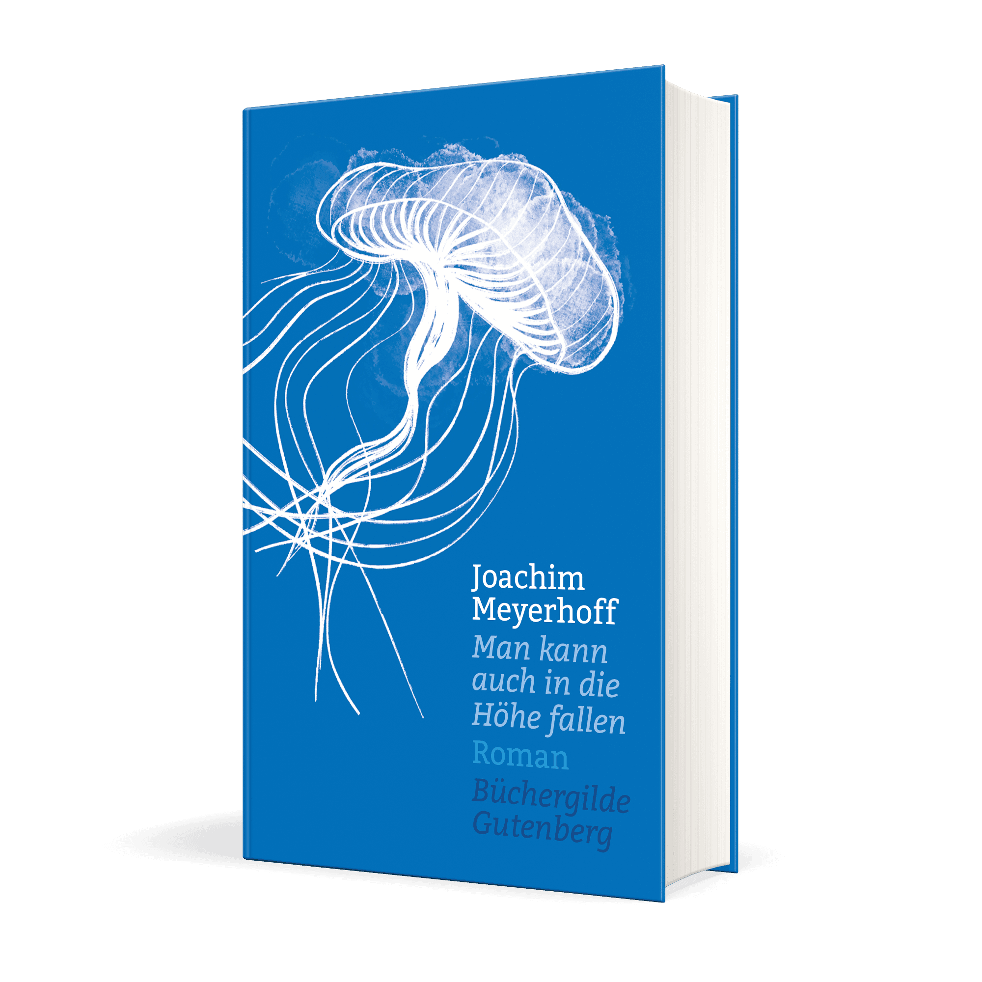 17619X_Meyerhoff_Man_3D_01.png