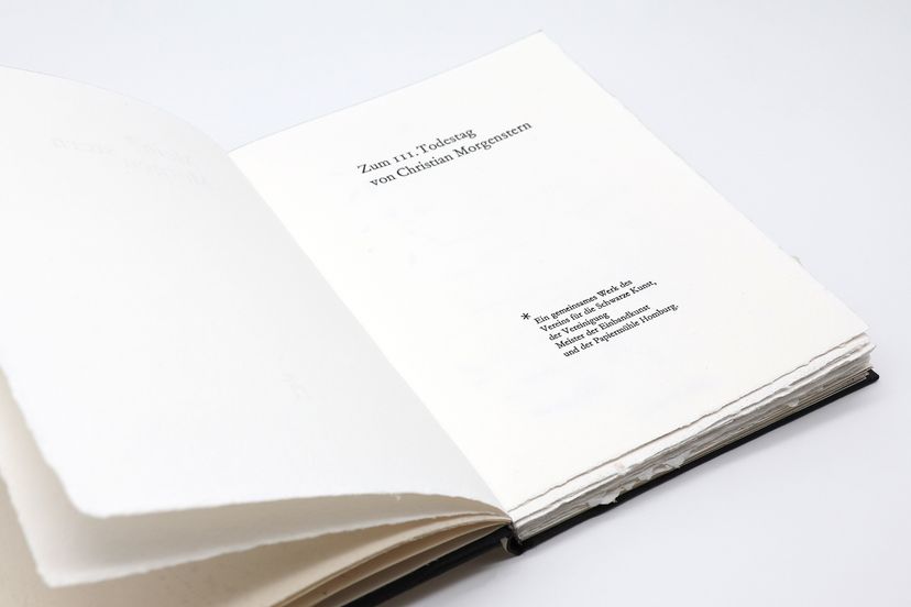 176483_VereinMDE_Morgenstern-15_BM_07.jpg