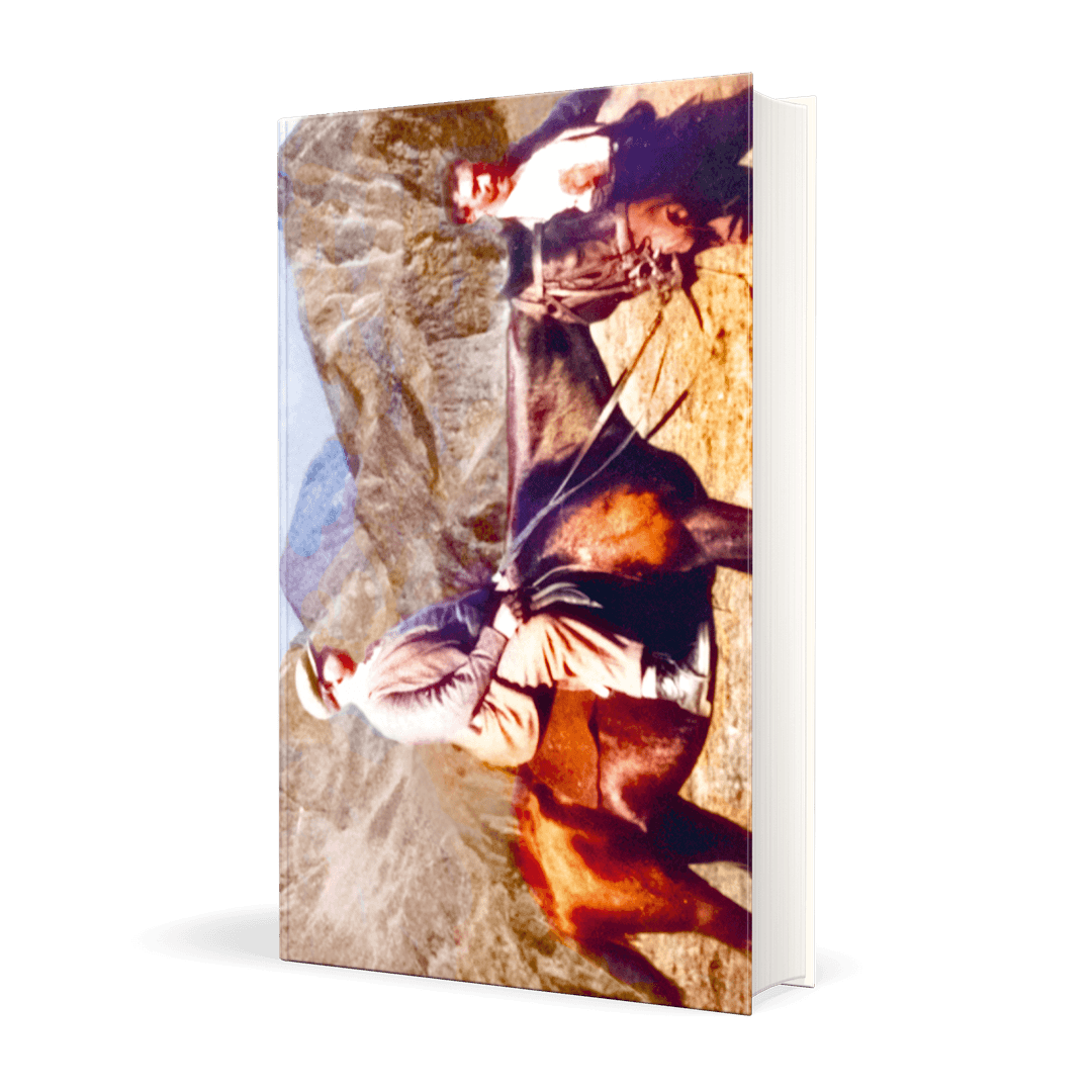 176661_Tucholsky_Pyrenaeenbuch_3D_01.png