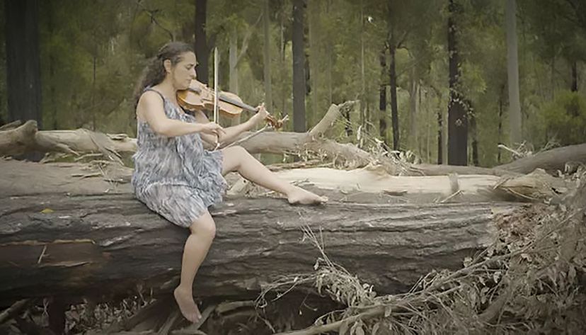 212922_DVD_LivingBach_BM_02.jpg