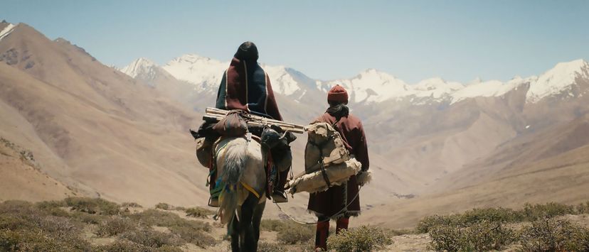 21304X_DVD_Shambhala_BM_04.jpg