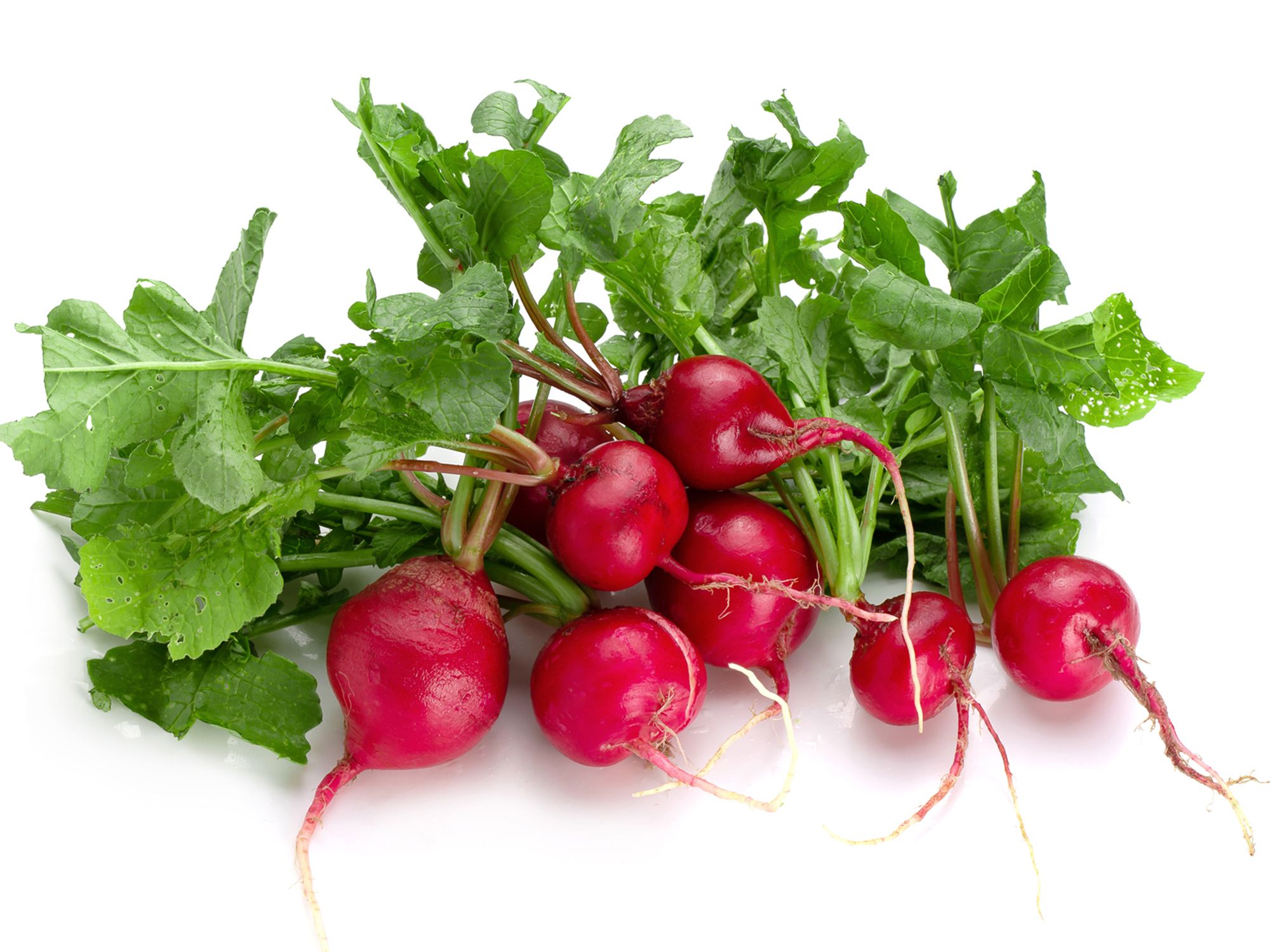 306949_Hochbeet-Saatgutbox_BM_04.jpg