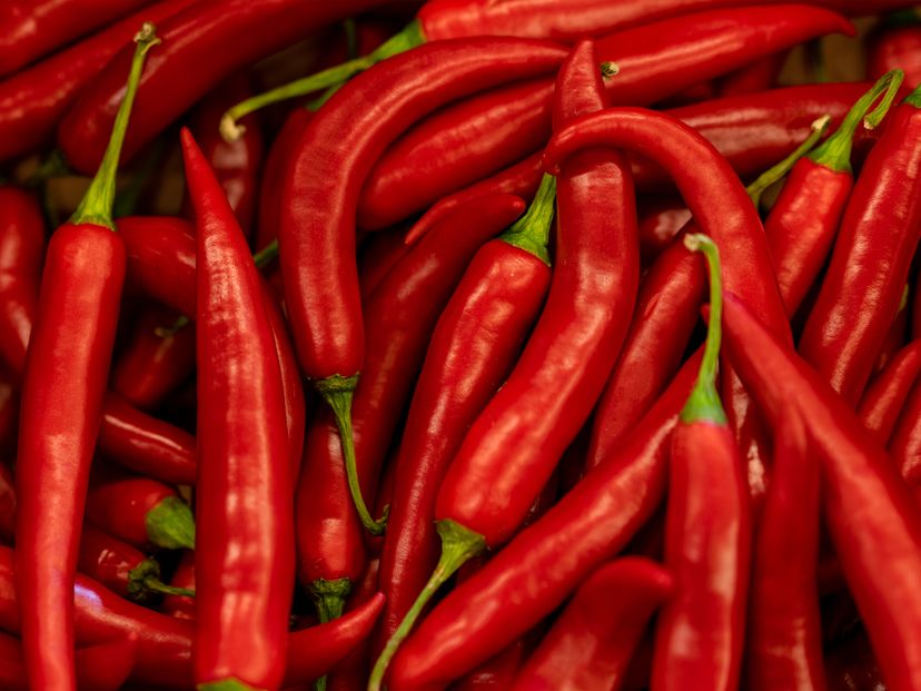 306949_Hochbeet-Saatgutbox_BM_06.jpg